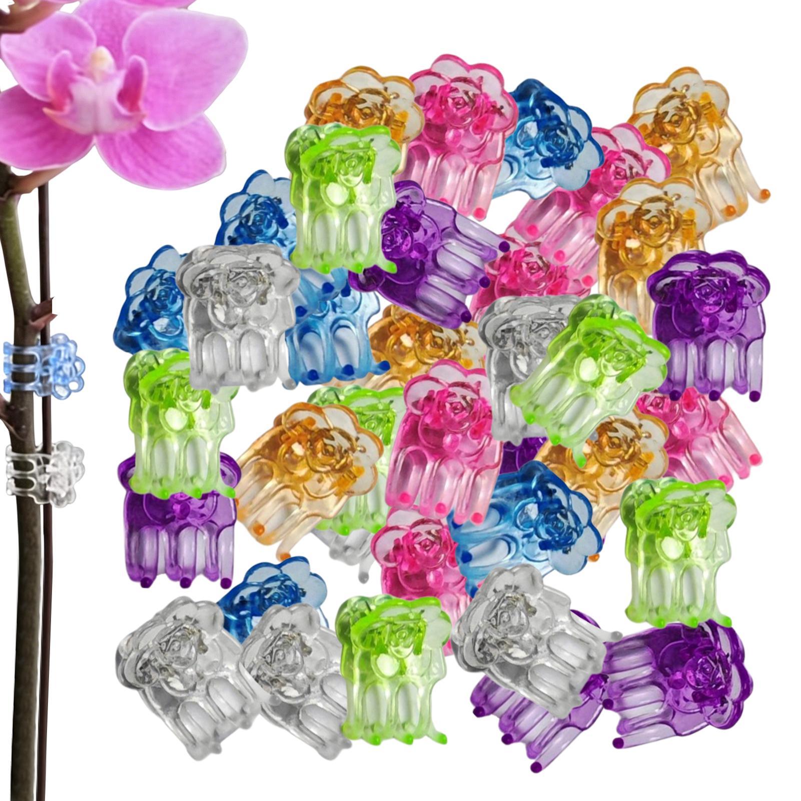 Orchid Clips 60 Pieces Butterf – Greenhouse Plastic Film recenzja i cena