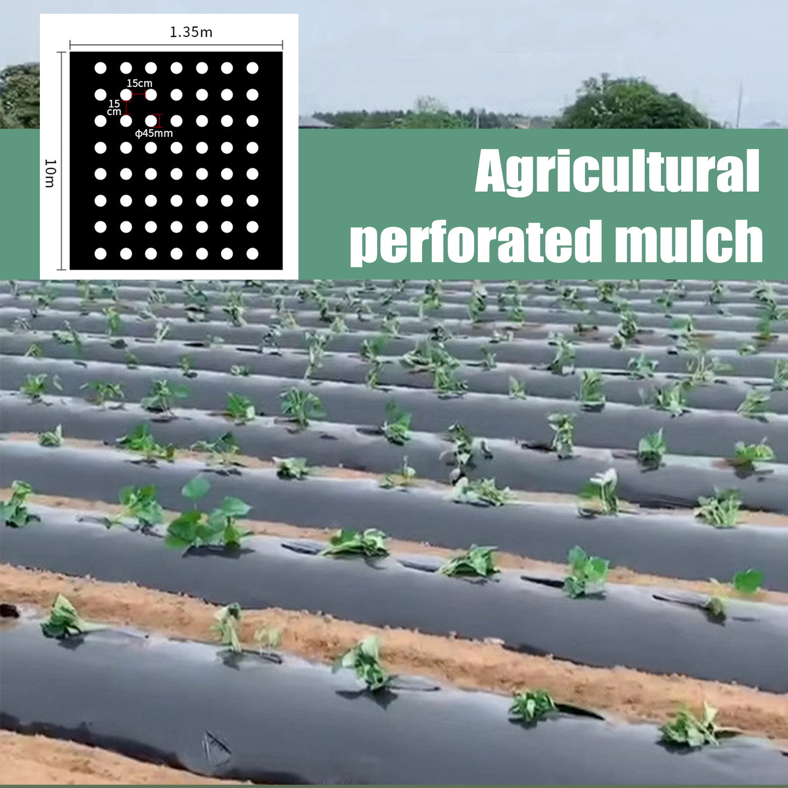 PE Perforated Mulch Film Farm  – Greenhouse Plastic Film recenzja i cena