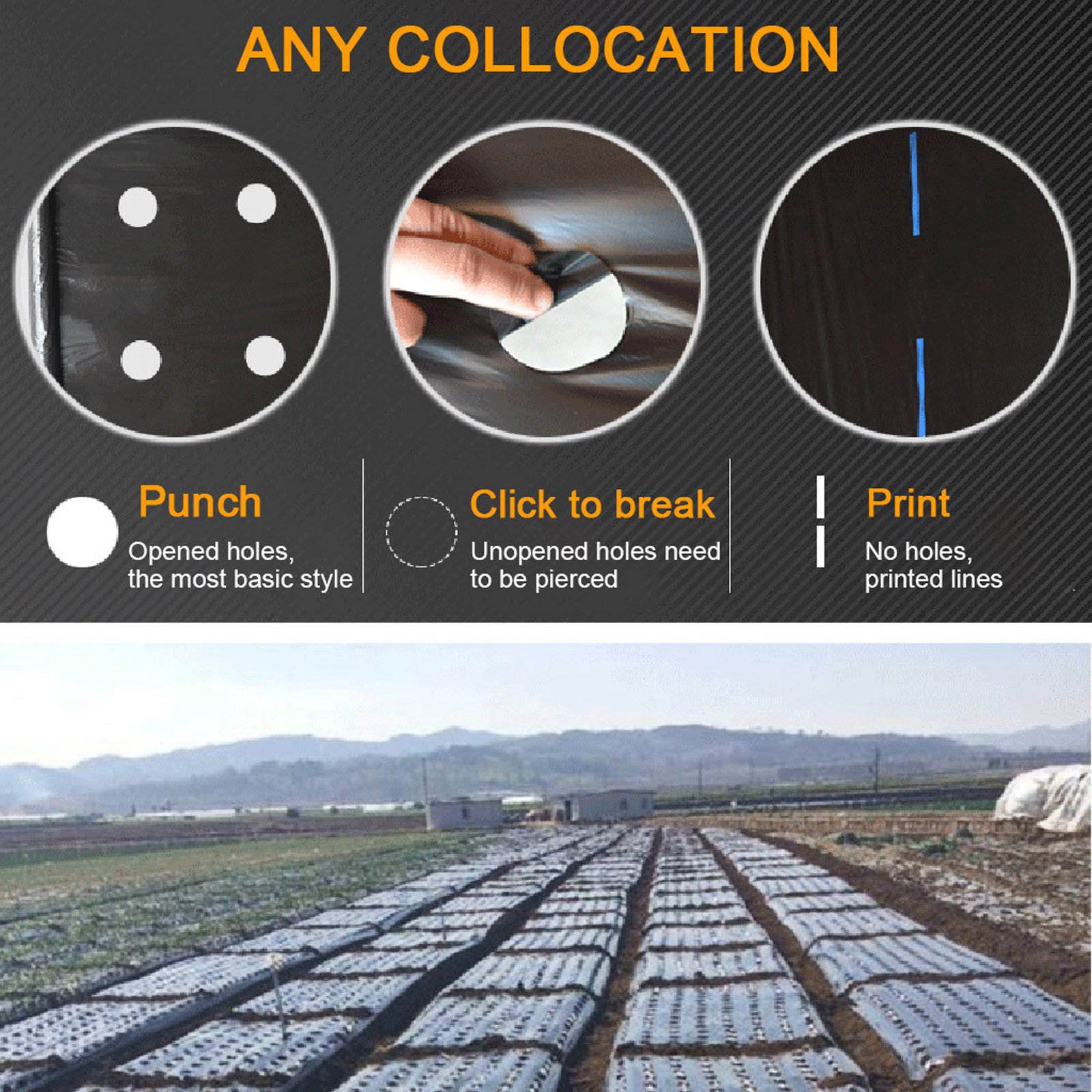 PE Perforated Mulch Film Farm  – Greenhouse Plastic Film recenzja i cena