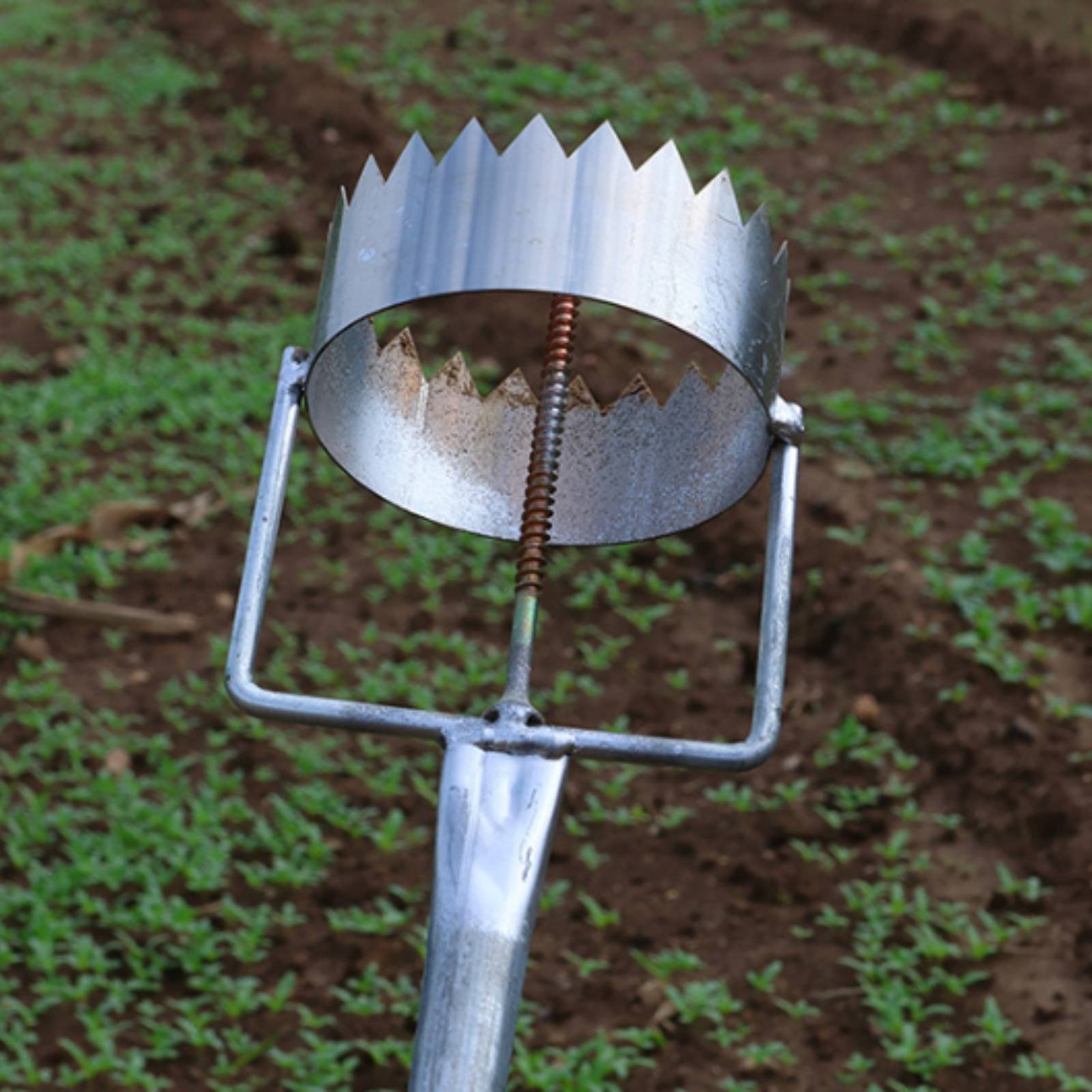 Mulch Film Hole Puncher Stainl – Greenhouse Plastic Film recenzja i cena