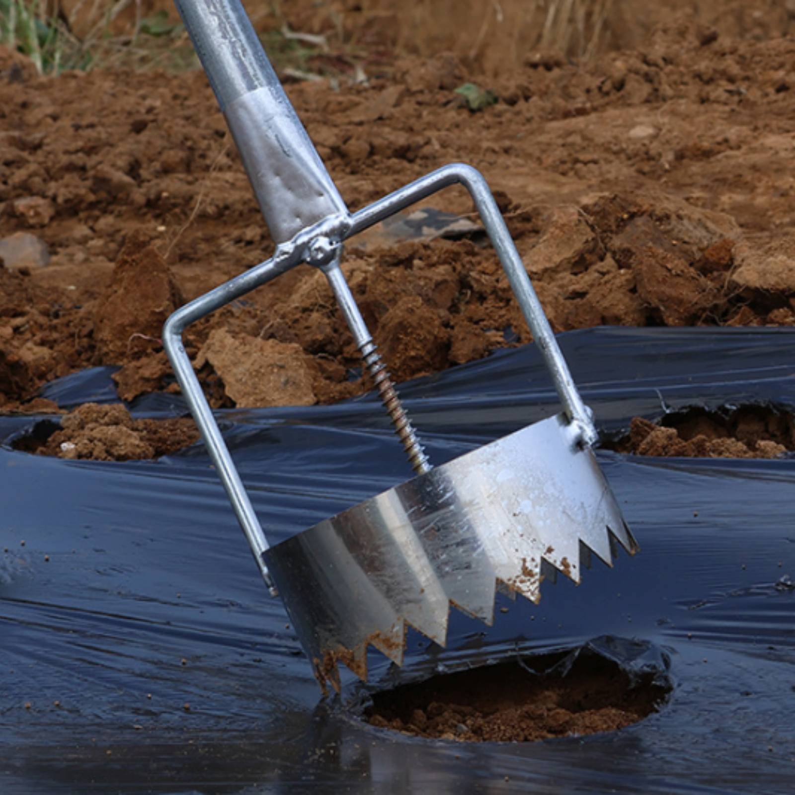 Mulch Film Hole Puncher Stainl – Greenhouse Plastic Film recenzja i cena