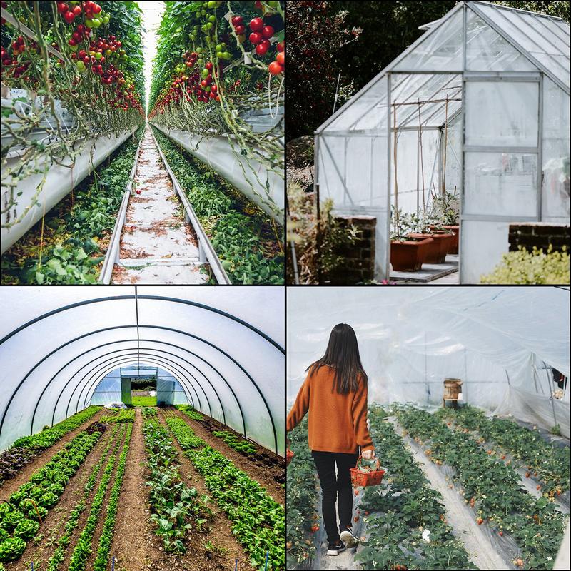 Greenhouse Film, Greenhouse Po – Greenhouse Plastic Film recenzja i cena