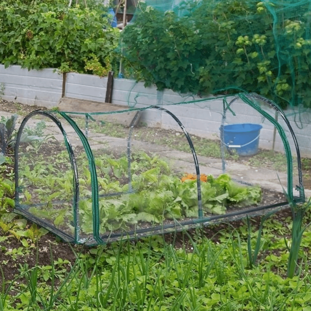 Transparent Mini Plant Greenho – Greenhouse Plastic Film recenzja i cena