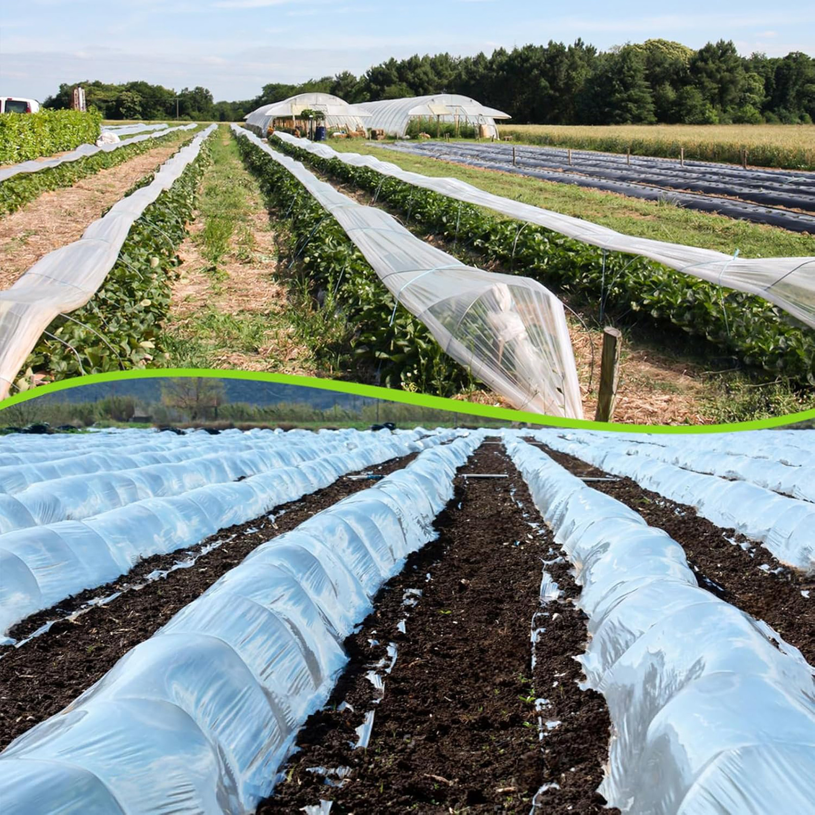Transparent Greenhouse Plastic – Greenhouse Plastic Film recenzja i cena
